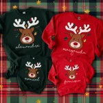 Pull Noel Famille Rouge et Vert avec Prénoms