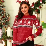 Pull de Noel Traditionnel avec Rennes