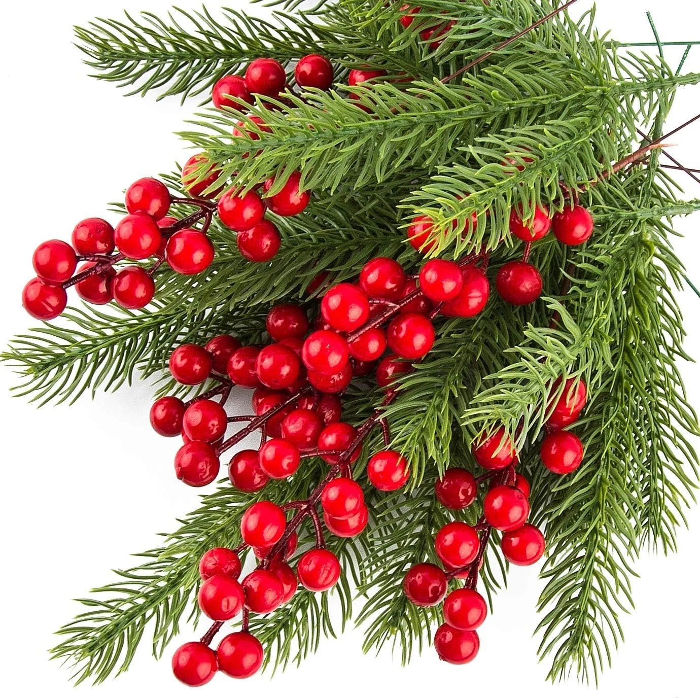 Utilisation du Noel Houx